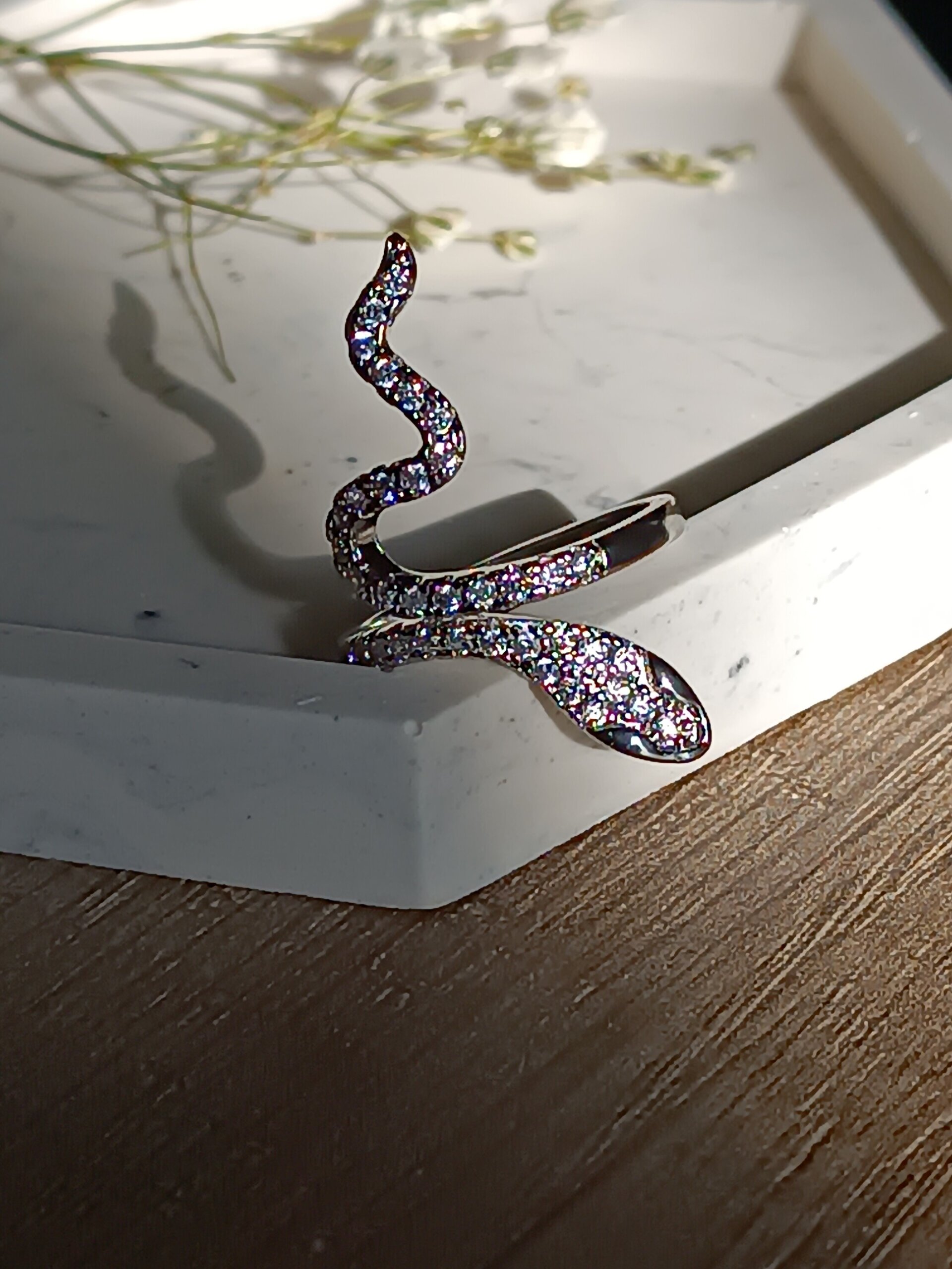Snake Plateado - 2